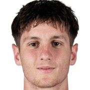 法比安·塔拉迪拉