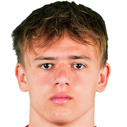 米克尔·达姆斯高