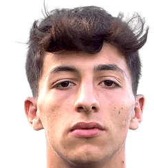 尼科洛·卡沃蒂