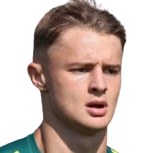 皮埃特罗·皮内利