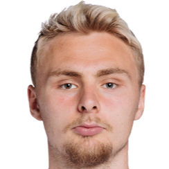 维克多·尼尔森